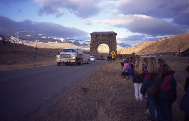 Truck carrying wolves driving through the Roosevelt Arch