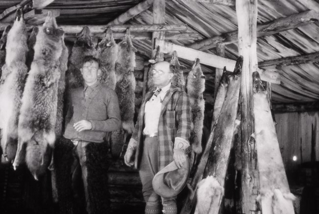 Ranger Ted Ogsten & Chief Ranger Sam Woodring with coyote pelts; 1927