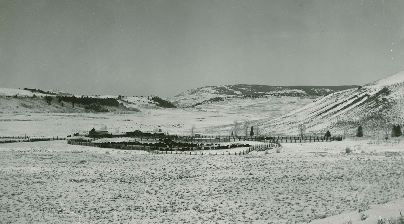 A black and white image of a large snow covered valley with mountains in the distance. In the valley are a few wooden buildings and a large corral filled with bison.