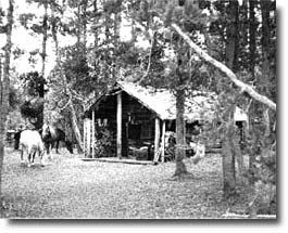 Fox Creek Cabin