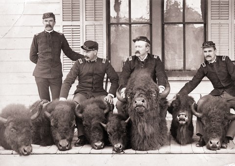 Soldiers pose with bison heads on a porch