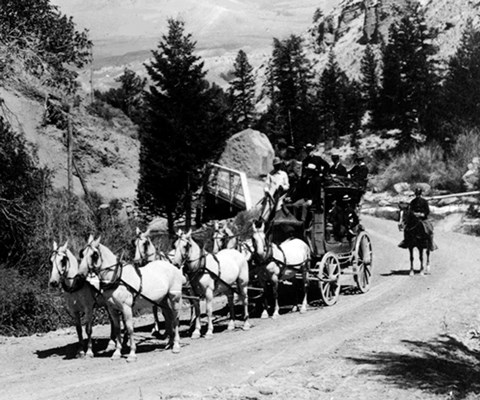 Six white horses harnessed to a stagecoach with people sitting on top and a single man on horseback standing on a road