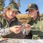 two park rangers inspecting a bird wing