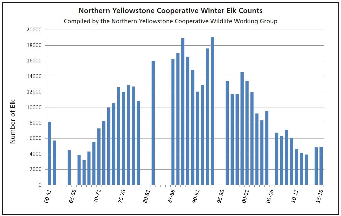 YS 24-1 Wolf Restoration in Yellowstone Reintroduction to Recovery