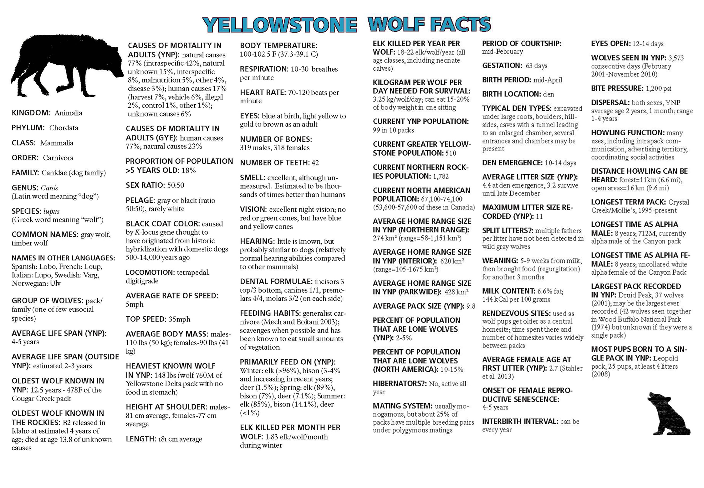 Yellowstone Wolf Facts