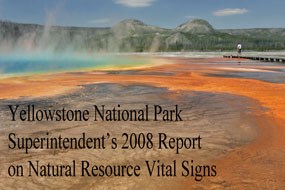 2008 Vital Signs cover with a photo of the colorful Grand Prismatic