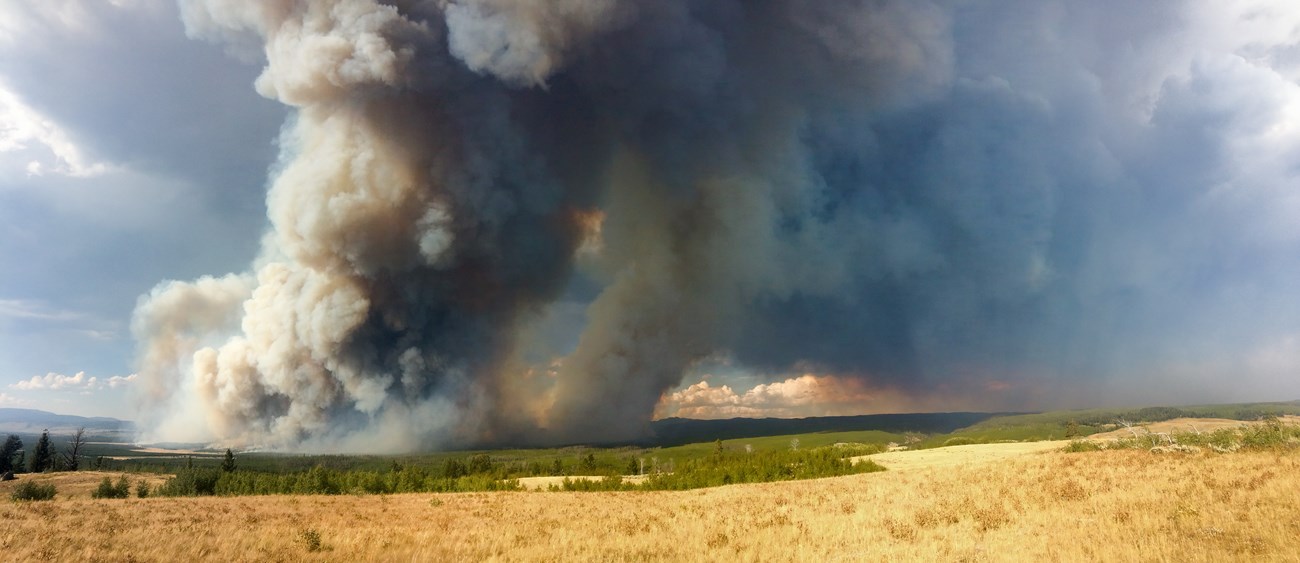 a wildfire burning in a valley of trees and grasses