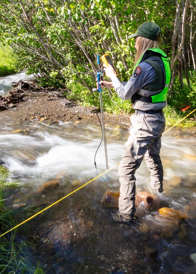 a park ranger measuring streamflow with a device while standing in a stream