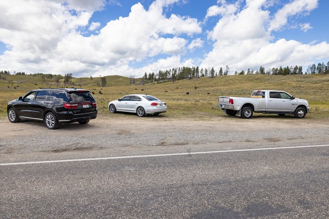 Impacts to resources along the road in Hayden Valley