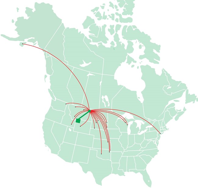 A map of North America with lines to indicate where bison have been transferred