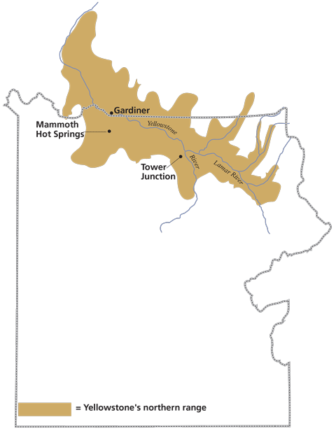 Boundary of Yellowstone national Park with area surrounding Yellowstone and Lamar Rivers marked as Yellowstone's northern range inside and outside of boundary