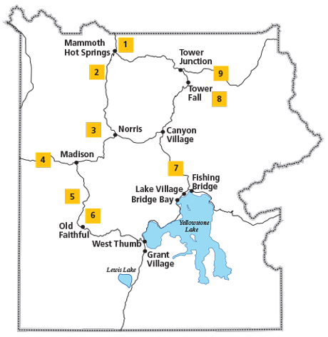 Map of Yellowstone National Park with numbered markers around Grand Loop Road