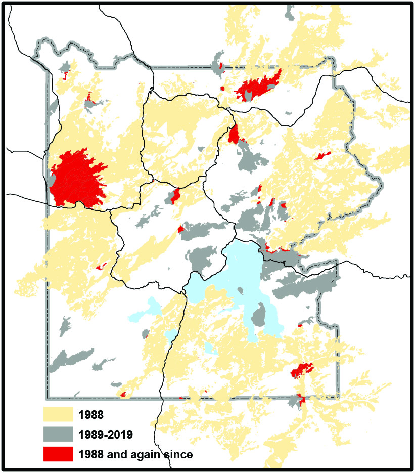 The Year Yellowstone Burned by Jeff Henry