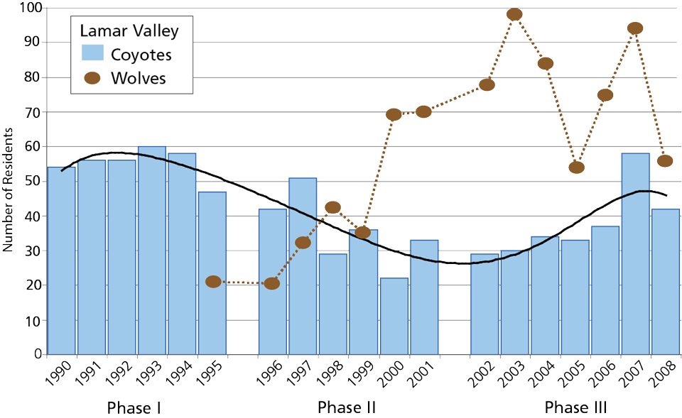 Chart showing the annual count of coyotes and wolves since 1990.