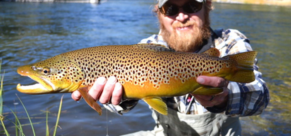 castmaster trout color