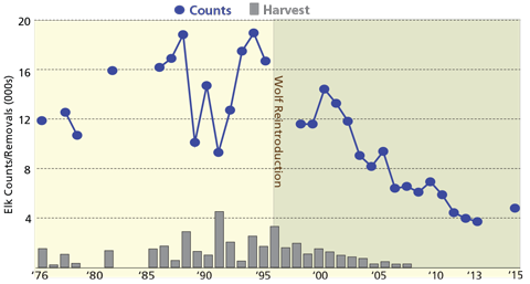 Chart of elk counts and removals by year from 1976 to 2015 with wolf reintroduction marked