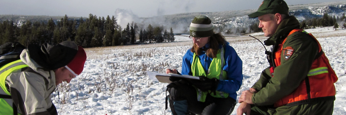 Two people in bright vests look down at the ground and notes as a park ranger looks on in a snow covered meadow