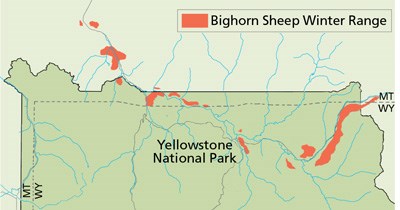 Map showing the winter range of bighorn sheep in the northern part of the park.