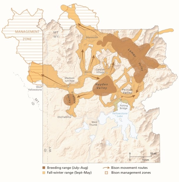 A map of Yellowstone's elevation, rivers and major lakes, park and state boundaries, the breeding and fall-winter ranges of bison, and the 2021 Interagency Bison Management Plan area.
