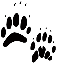 Black paw prints of a badger