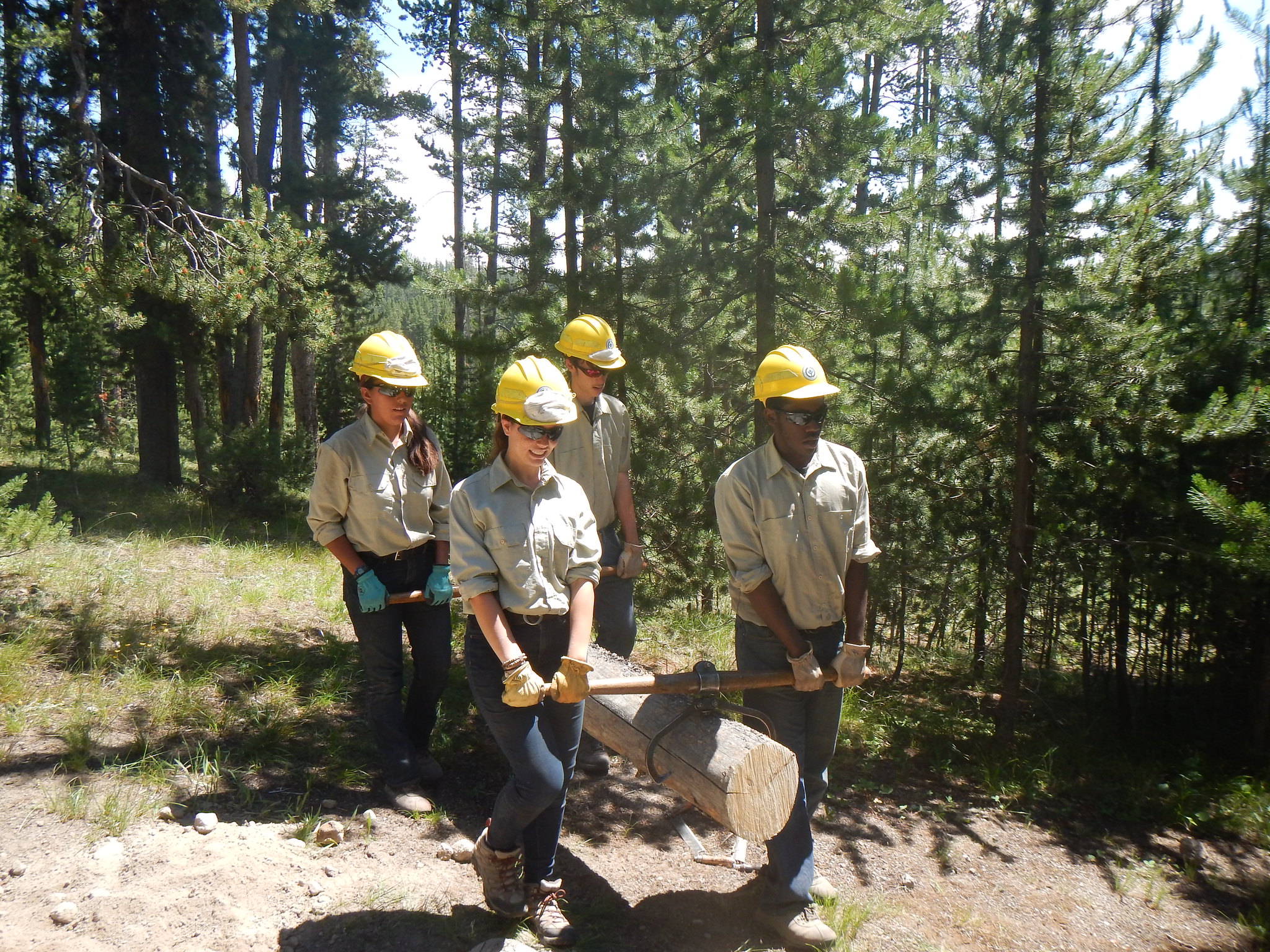 Four YCC members haul a log with metal hand tools