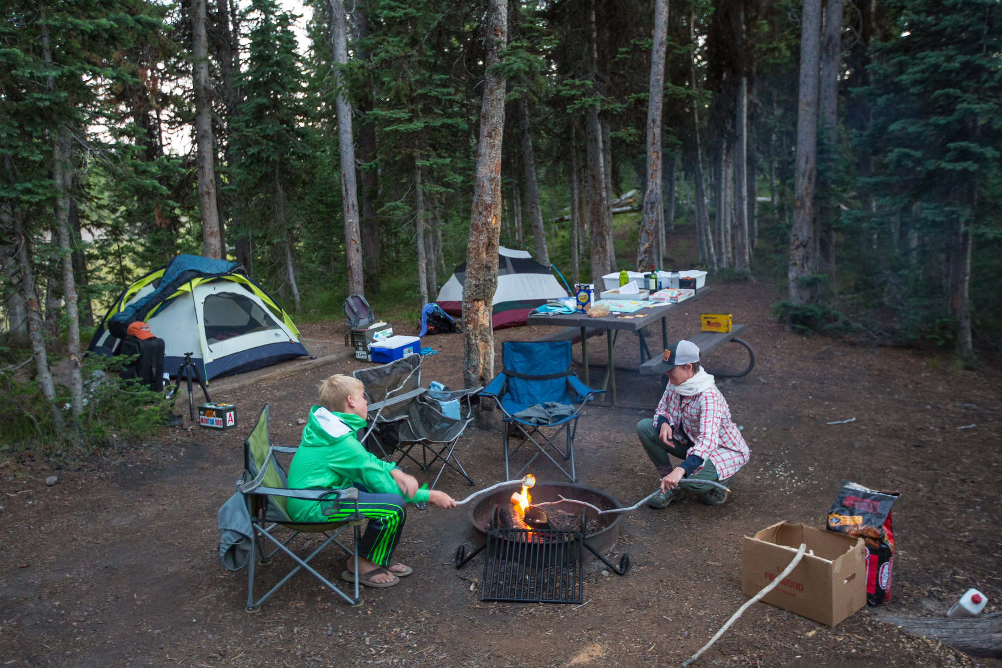People roasting marshmallows over a campfire in a campground