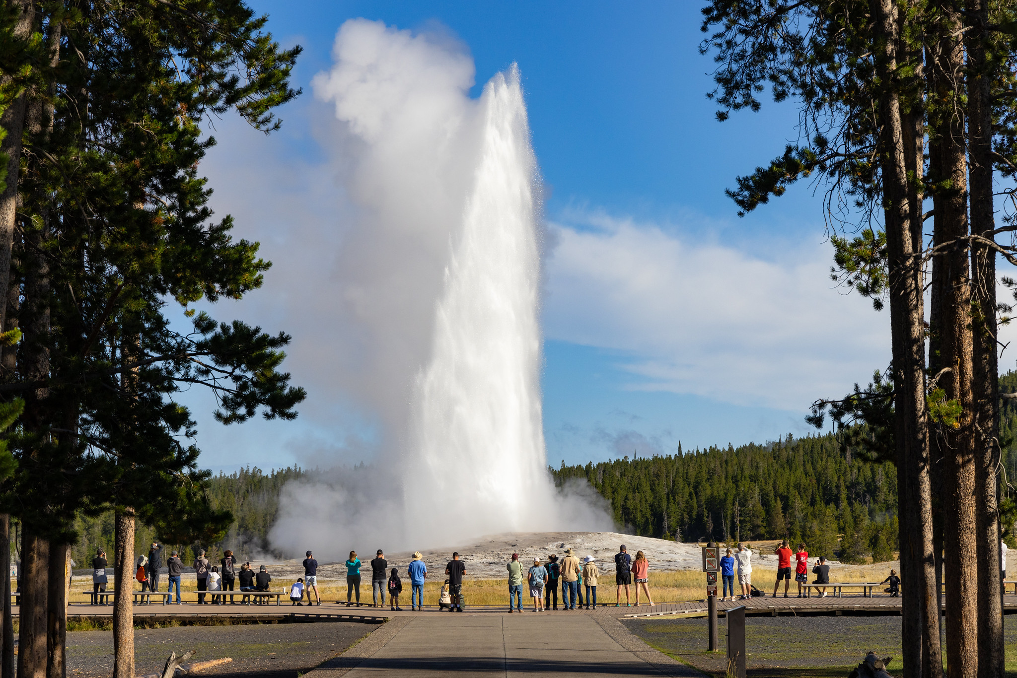 Morning Old Faithful eruption