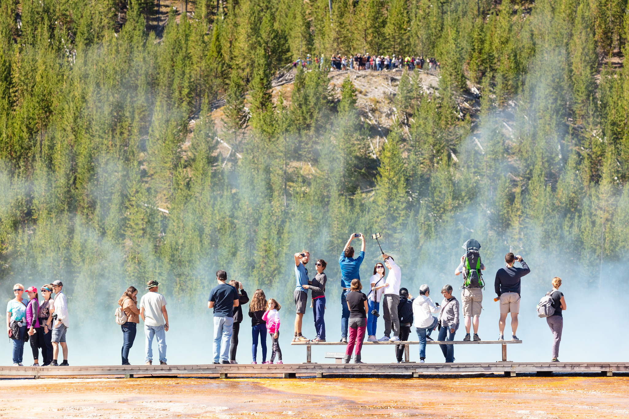 research papers on yellowstone national park