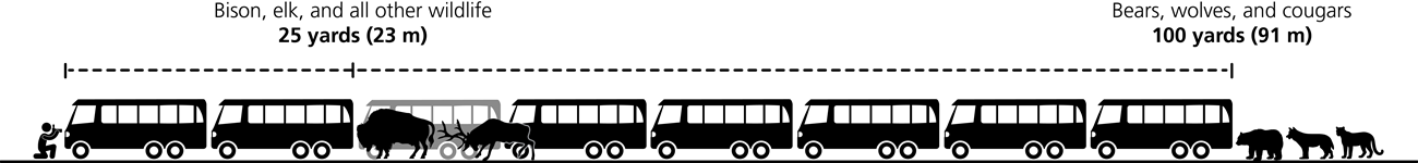 graphic with busses, people and wildlife