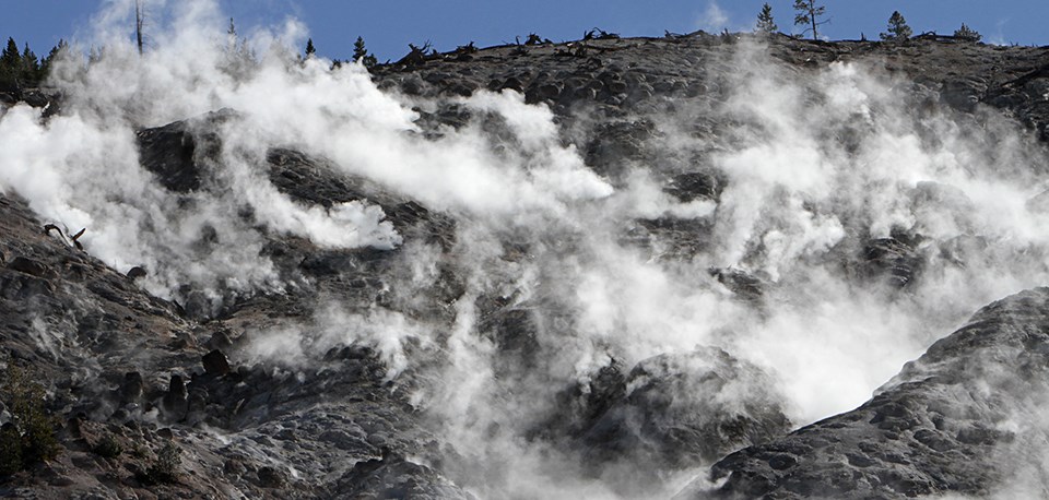 Steam rises from vents in the earth