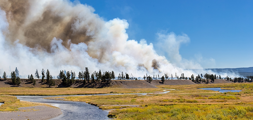 A fire burning in a natural landscape.