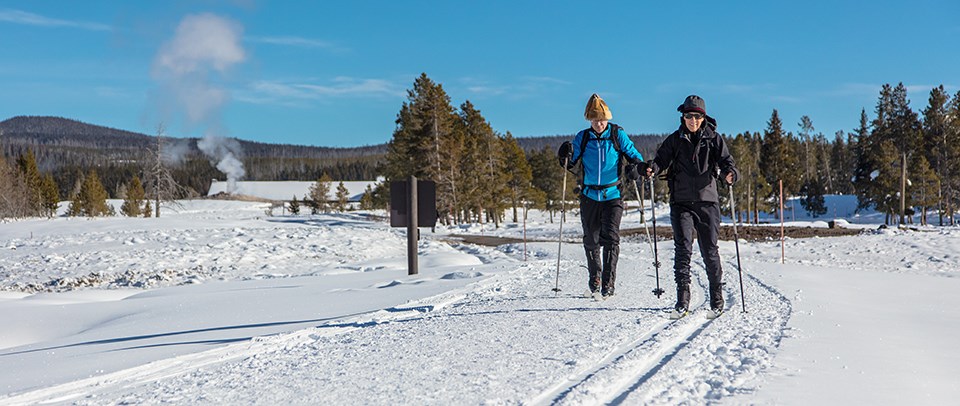 Two women nordic ski in a snowy landscape.