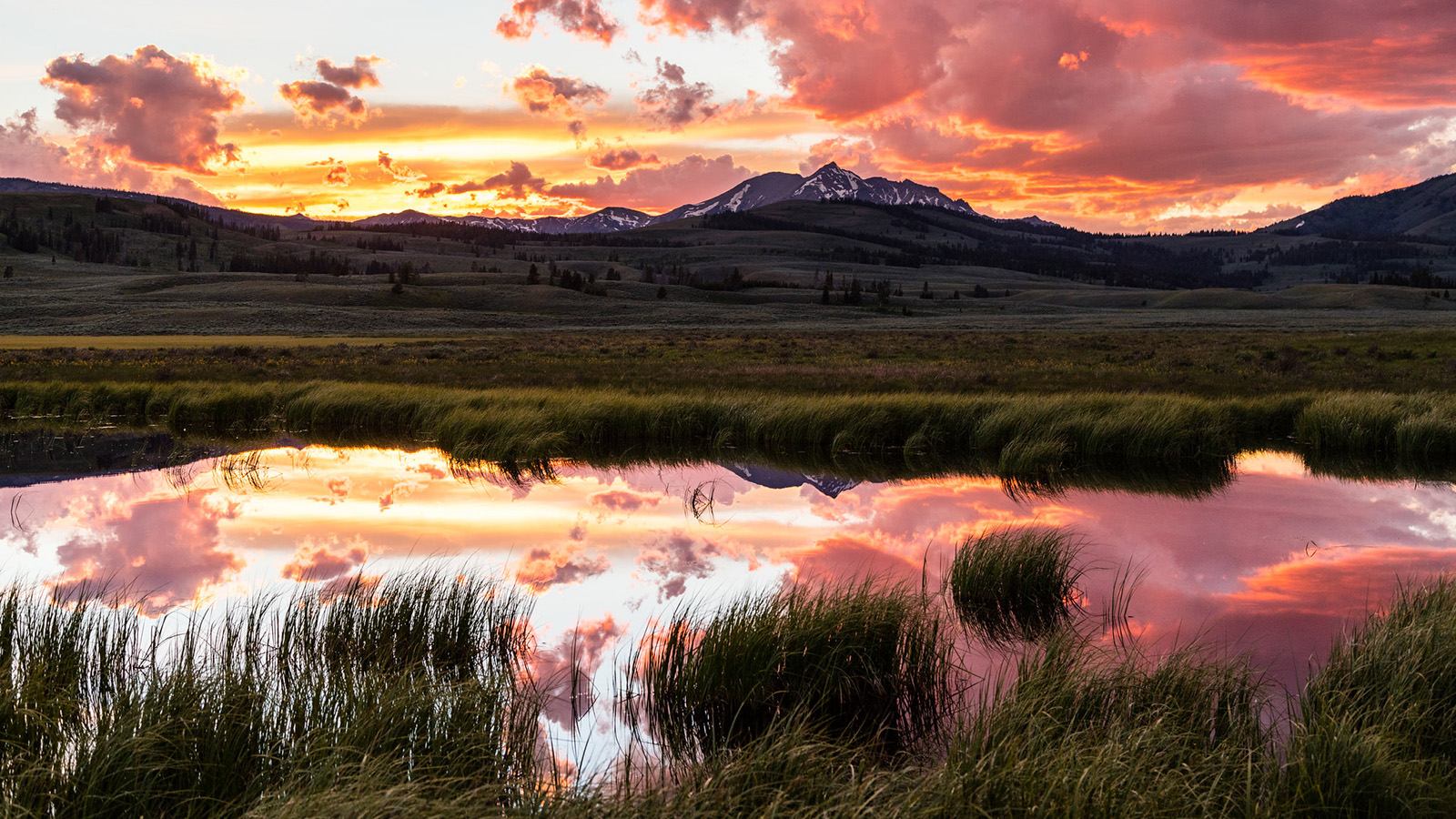 Sunset colors over a reflecting pond