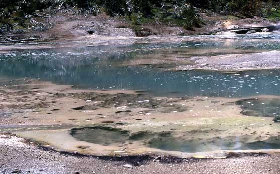 Tiny bubbles rise to the surface of the hot water in this hot spring pool.