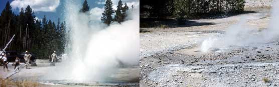 (Left) Minute Geyser in its early years when it presented delightful eruptions up to 50 feet tall. (Right) This photo showing a typical eruption today, displaying a plume of water only about 12 inches high.