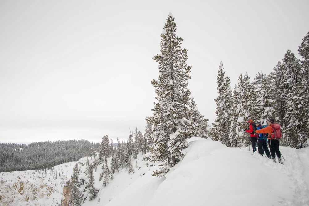 Several skiers stop to admire the Grand Canyon of the Yellowstone from the North Rim Ski Trail.