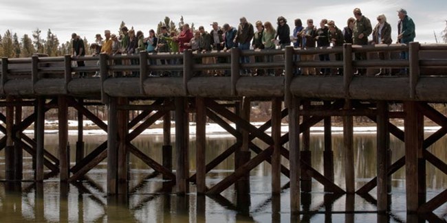 A line of people and rangers stand on a log bridge