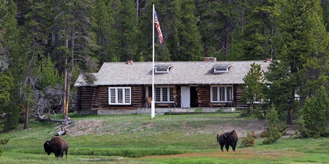 Two bison graze in front of a log structure.