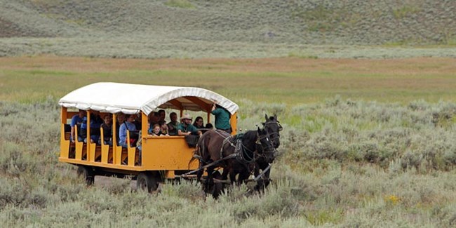A modern stagecoach pulled by a horse moves through sagebrush