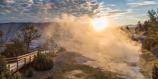 A visitor standing on a boardwalk watches the sunrise through mist rising from the Mammoth Hot Springs.