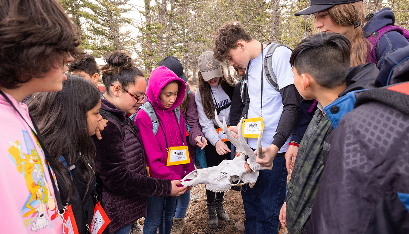 Students gather around a bull elk skull and examine it.