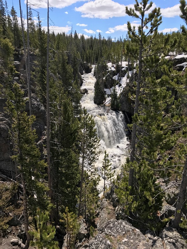 A waterfall cascades through a gray rock canyon covered in pine trees.