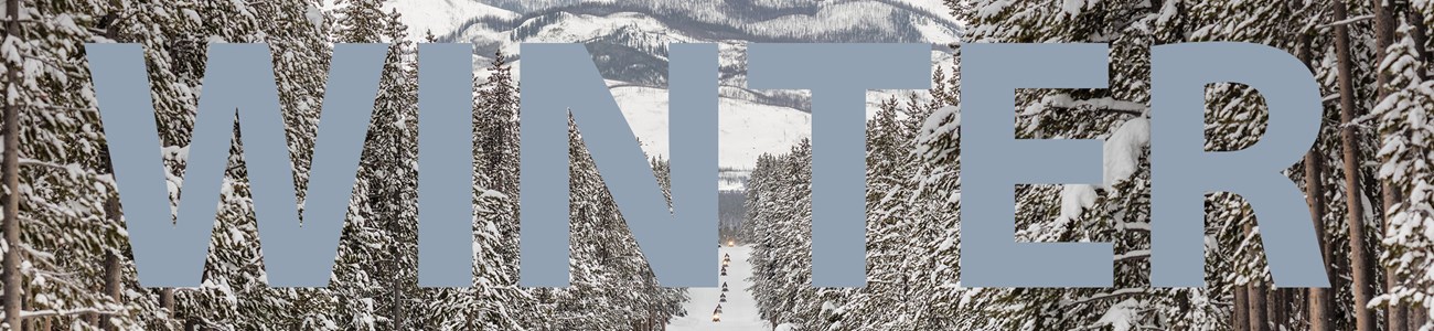 A snow-covered road with snowmobiles in a line, in between trees.
