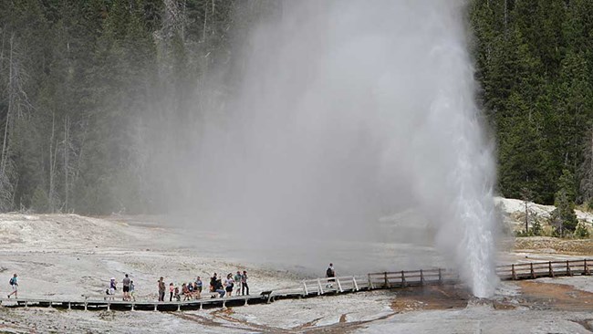 A geyser erupts steam and water up into the air, while visitors stand on the boardwalk and watch.