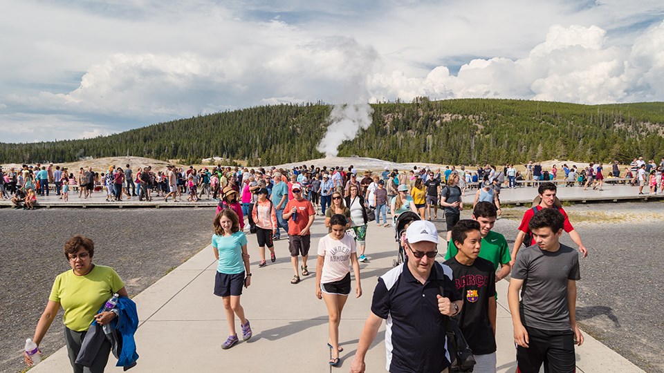 Crowds of people walking on a path leading to a geyser