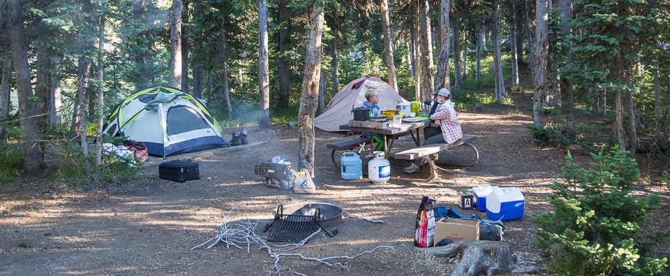 Campsite in the Lewis Lake Campground