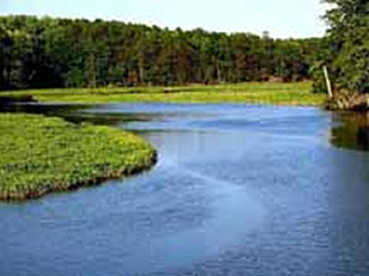 Back River, Jamestown Island
