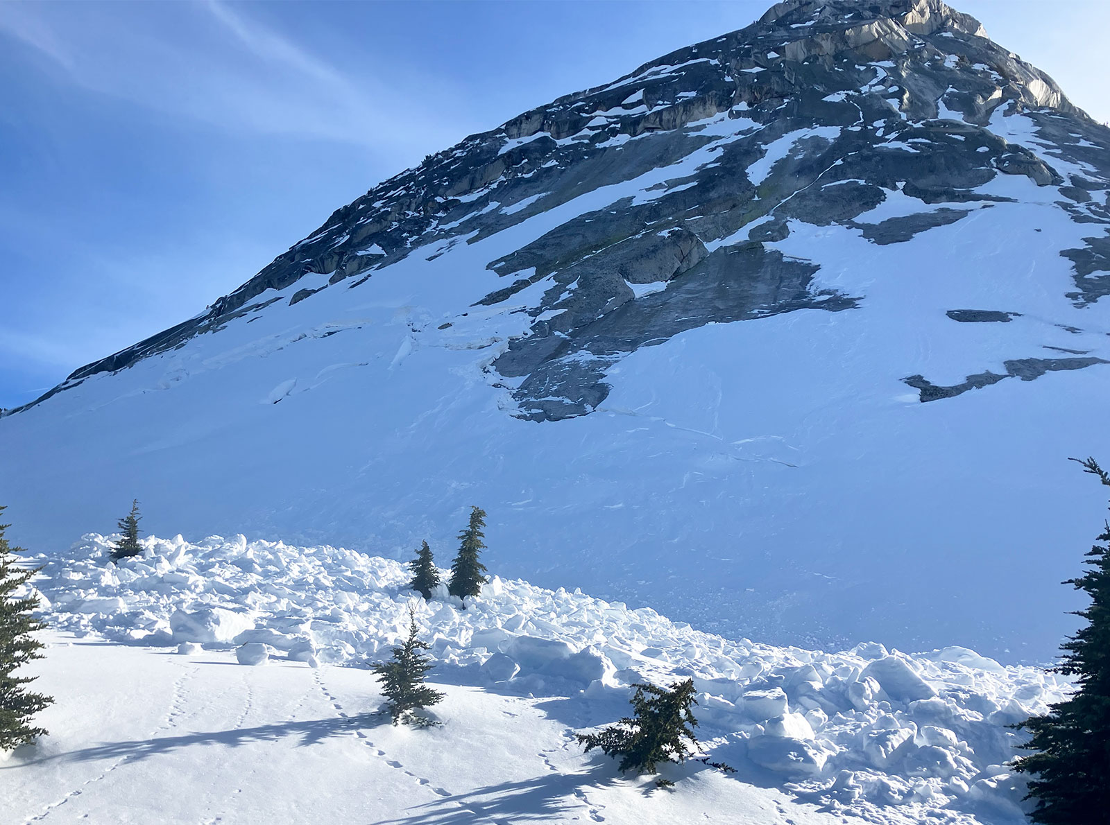 Avalanche on north facing slope near Cathedral Lakes Trail on January 2, 2025.