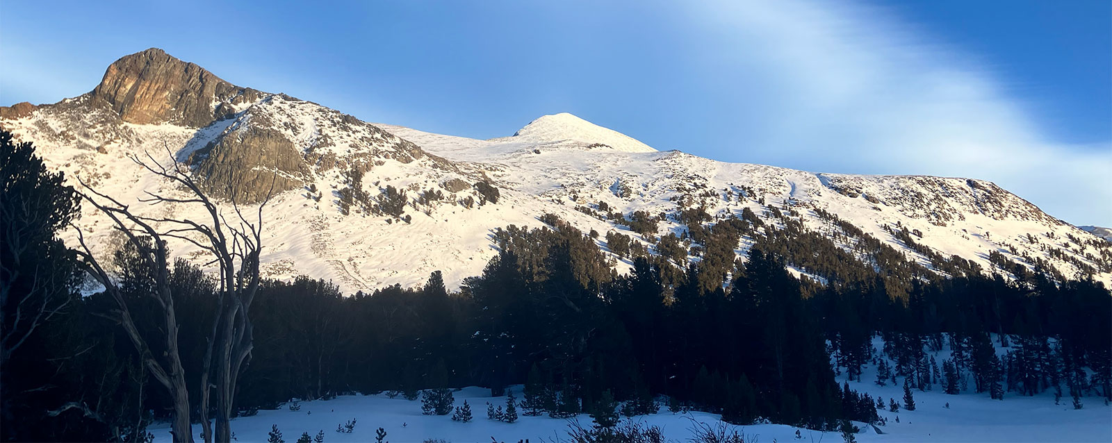 Alpenglow on Mt. Dana on December 28, 2024.
