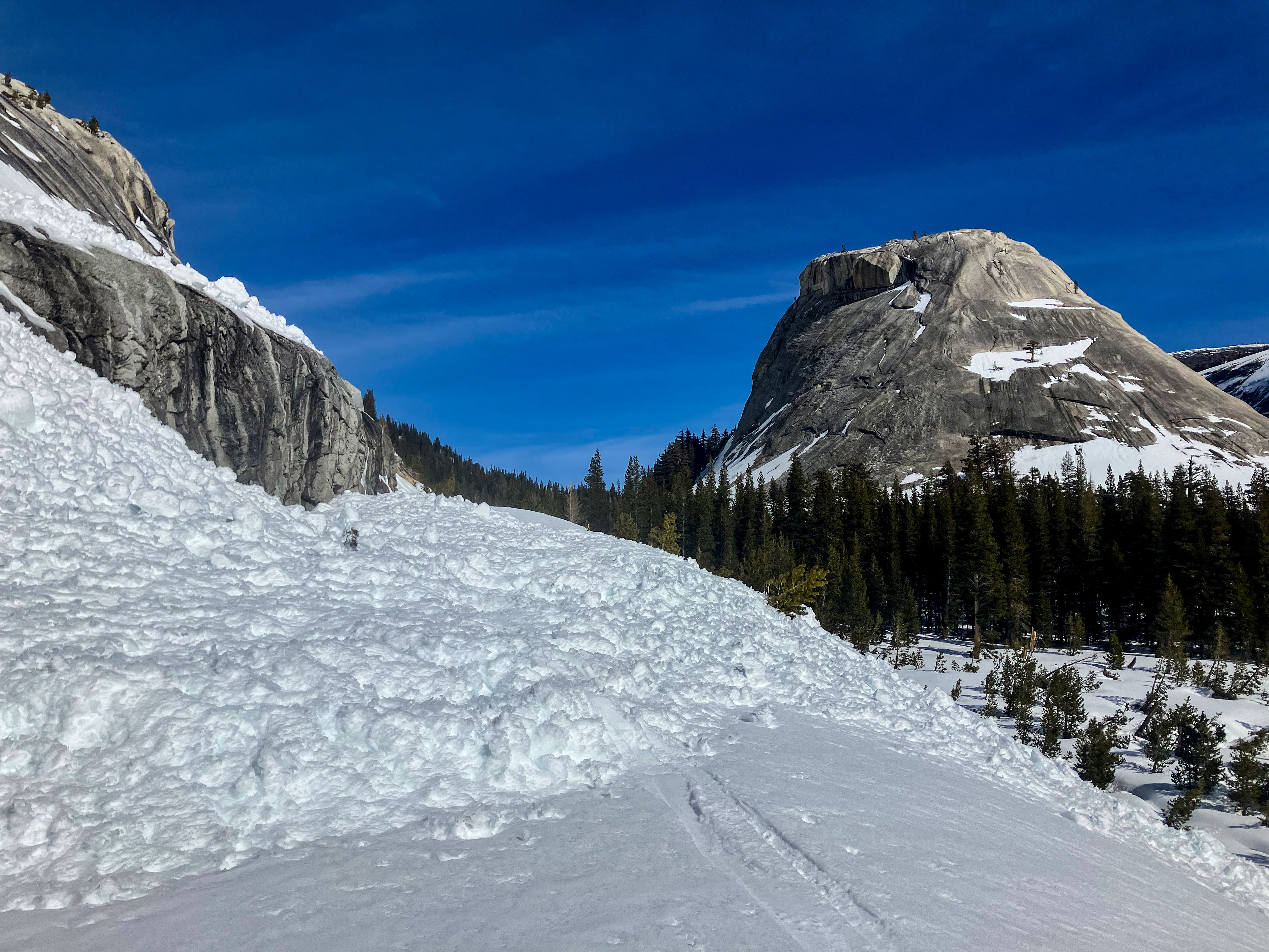 Spring Hill avalanche Avalanche across snowy Tioga Road with domes riseing in the background